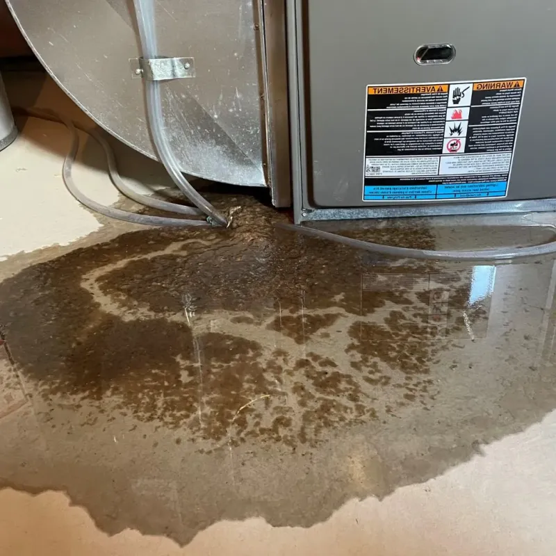 Pipe Burst and Leak Restoration in Fishkill, NY